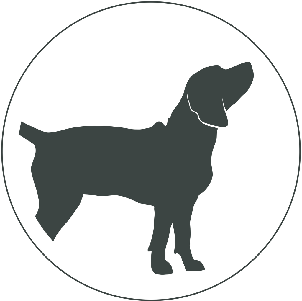 Gun dog shop sale