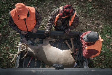 How to Outsmart Big Bucks with Better Hearing