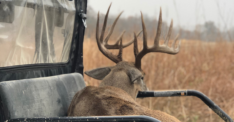 4 Key Sounds Deer Hunters Must Hear