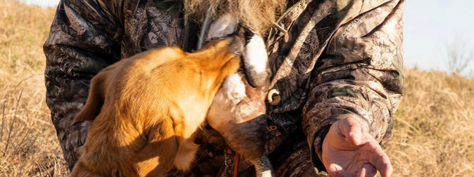 Importance of Waterfowl Hunting Hearing Protection