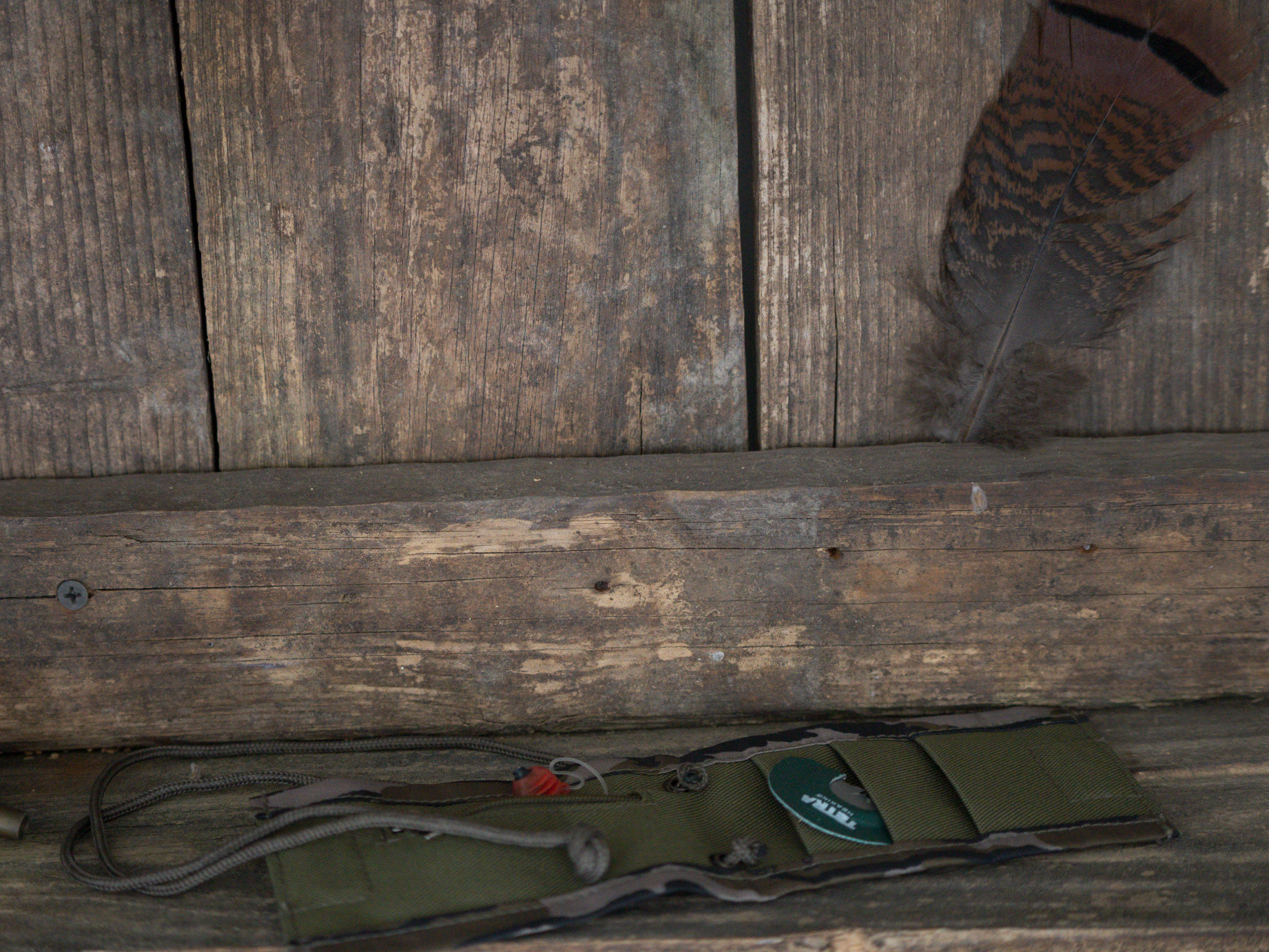 The BOTTOMLAND Soft-Case Bundle by TETRA