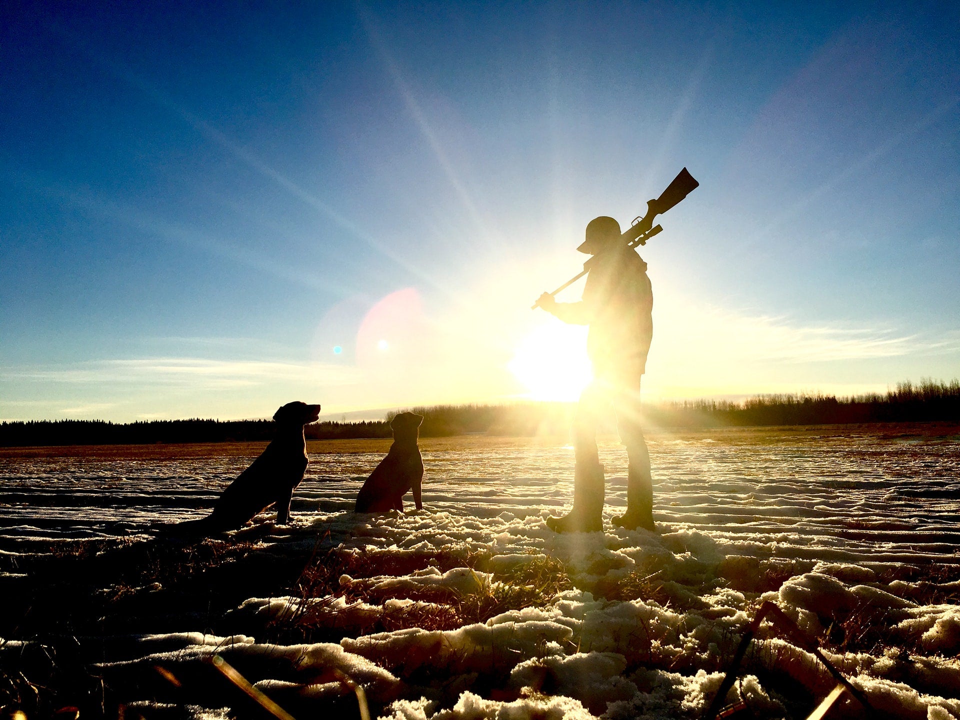 Gun Dog Training CustomShield